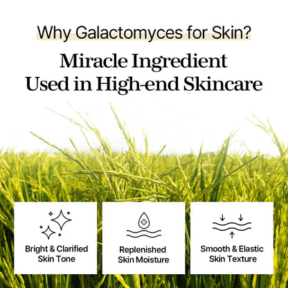 Galactomyces Toner Pad