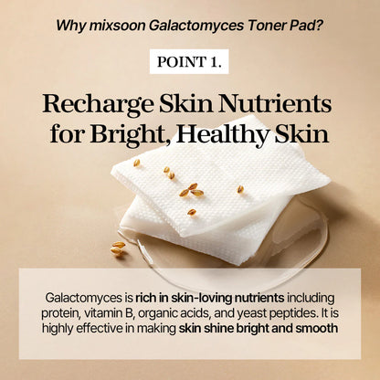 Galactomyces Toner Pad